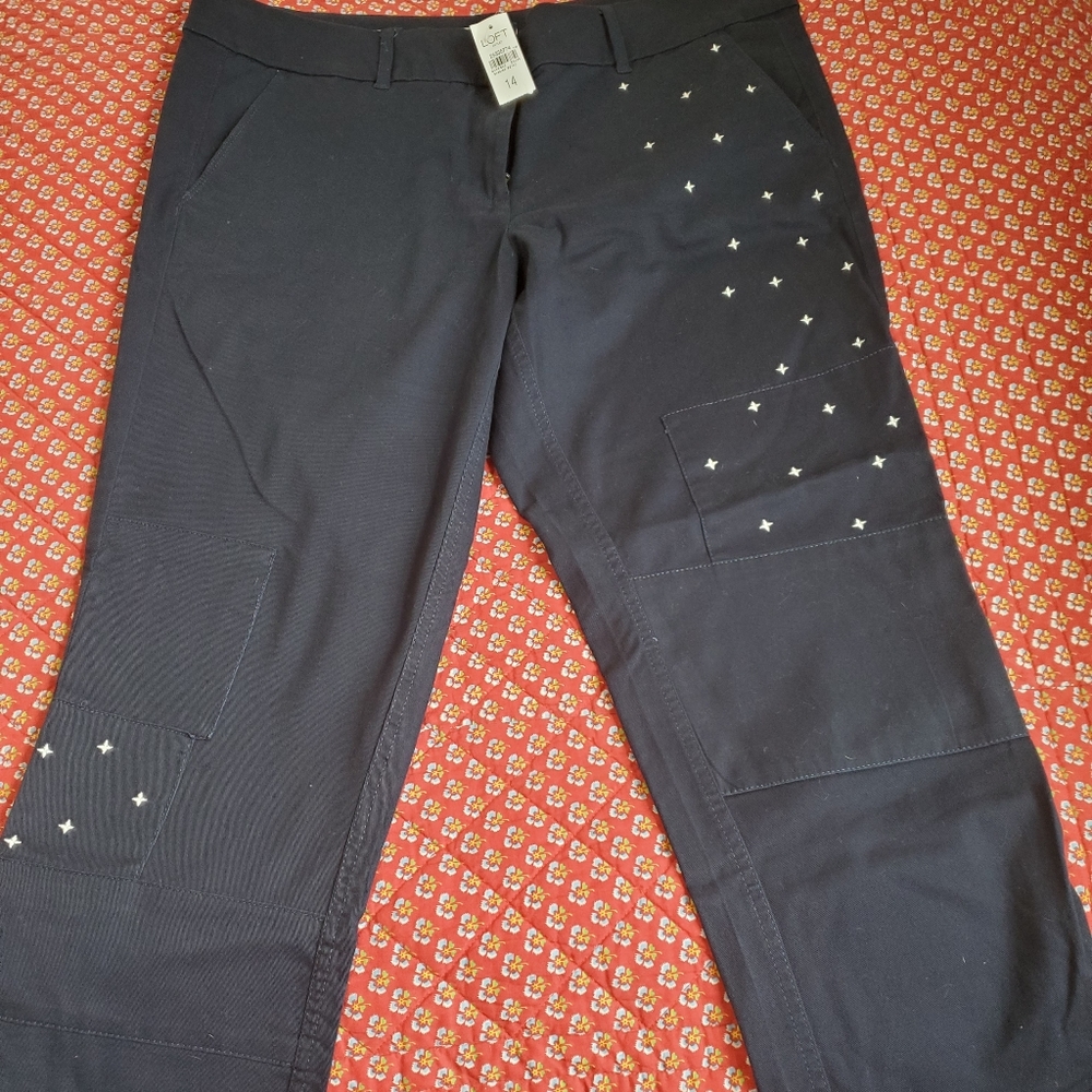 Loft Modern Chino Crop 14